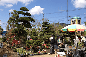 造園・ガーデニング　齊藤六左園
