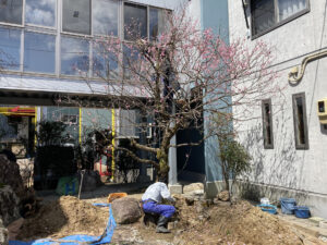 植栽工事（三条市）