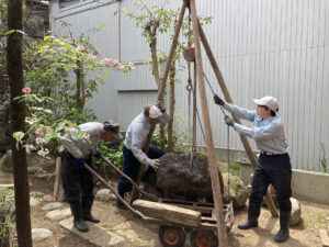 庭園修繕（長岡市）