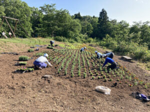 大崎山公園頂上広場（三条市）