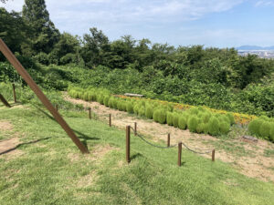 大崎山公園頂上広場（三条市）