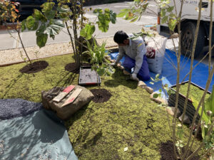 和風の坪庭（燕市）