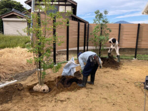樹木植樹（新潟市西蒲区）