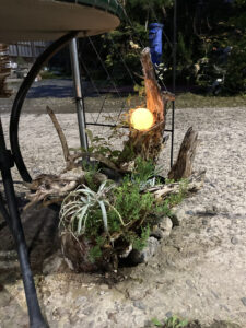 流木（新潟市西蒲区）