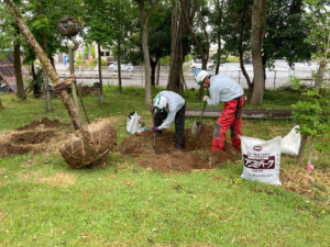 植樹（寄付）（燕市）