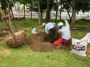 植樹（寄付）（燕市）