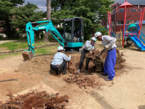 サクラの木の伐採、抜根（三条市）