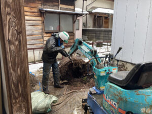 ケヤキ撤去（三条市）