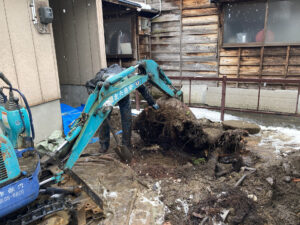 ケヤキ撤去（三条市）