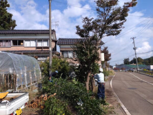 道路沿いの樹木伐採（三条市）
