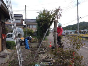 道路沿いの樹木伐採（三条市）