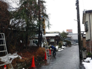 道路に掛かている高木の剪定（三条市）